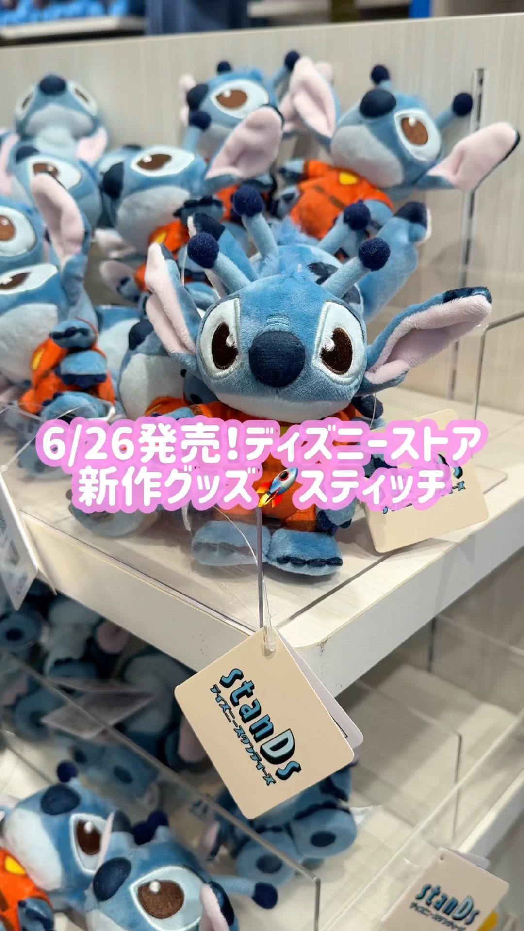 ディズニーストア　スティッチグッズセット アヒルを抱きしめるスティッチ！ディズニーストア Disney Stitch