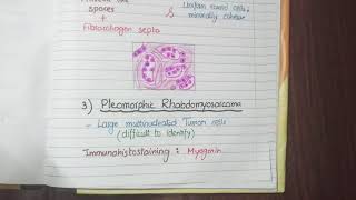Rhabdomyosarcoma Pathology screenshot 3