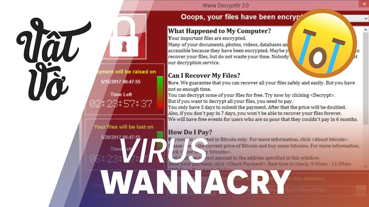 วิธีป้องกันไวรัส wanna cry  2022 New  Con virus Wannacry làm thế giới điên đảo: cách phòng chống, cẩn thận khi xem xxx