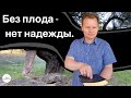 Без плода - нет надежды. Вадим Криничный.