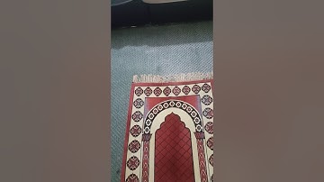 قراءة من صلاة التراويح من سورة القصص في شهر رمضان المبارك سنة(١٤٤١)؛همام عادل شاهين