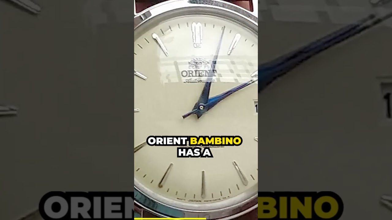 The One Problem With Orient Bambino