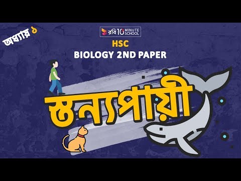 ৪০. অধ্যায় ১: প্রাণিবৈচিত্র‍্য - স্তন্যপায়ী (Mammalia)