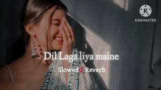 Dil Laga Liya maine | Slowed + Reverb | Alka Yagnik \u0026 Udit Narayan | Lofi's World