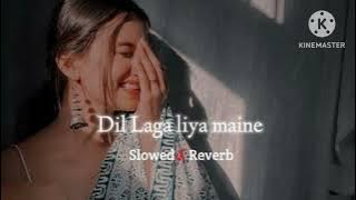 Dil Laga Liya maine | Slowed   Reverb | Alka Yagnik & Udit Narayan | Lofi's World