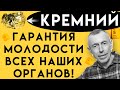 КРЕМНИЙ - Гарантия Молодости Наших Костей, Мышц и Других Органов