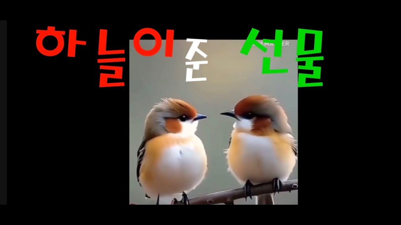 하늘이 준 선물   작사 김이숙  AI생성편집 류준식  영상 류준식