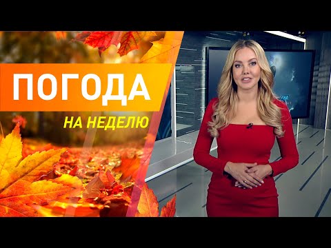 Video: Аба ырайы балыктардын чагуусуна кандай таасир этет