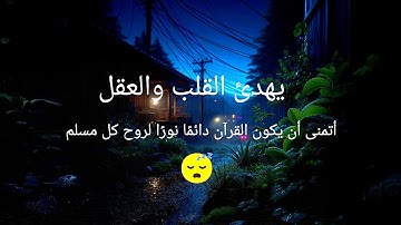 استمع لصوت القرآن المصحوب بصوت المطر الهادئ الذي يريح القلب والعقل 😴♥️ سورة الملك | القرآن للهدوء