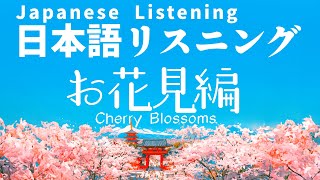 Japanese Listening With The Beauty Of Cherry Blossoms 🌸