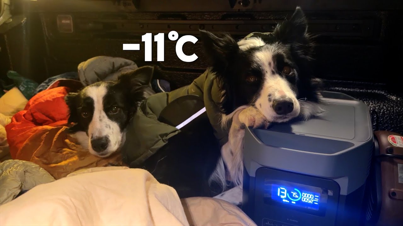 Сон в кузове грузовика при -11°C с одной зарядной станцией