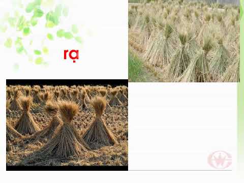Tập đọc lớp 1. Ngôi nhà