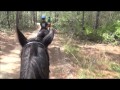 Perdido Water Management Trail Ride Pensacola FL Perdido Water Management Trail Ride Pensacola FL