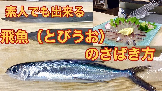 トビウオをさばく 開き 塩焼き Youtube トビウオをさばく 開き 塩焼き Youtube