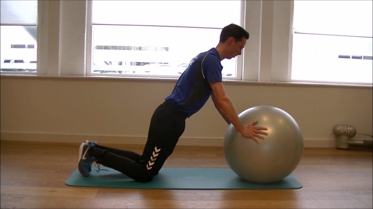 Swiss Ball Push Up Beginner YouTube