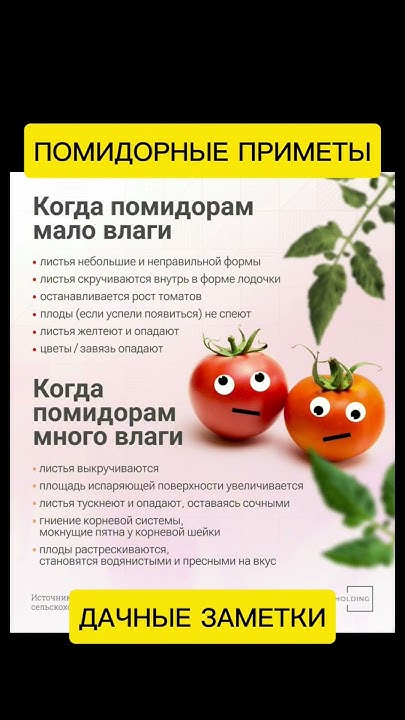 #советы #дача #огород - YouTube