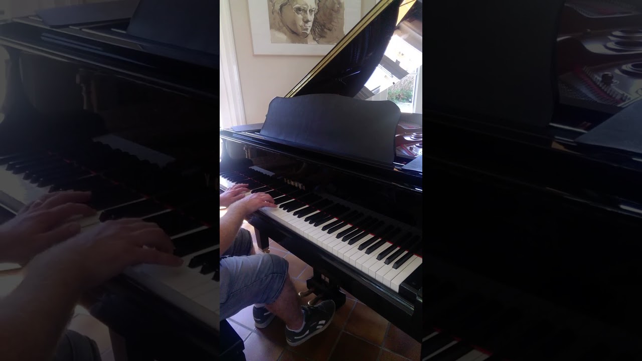 Feeling good - Nina Simone Cover / Improvisation