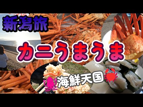 新潟旅上越へ・道の駅うみてらす名立～マリンドリーム能生へ・・・カニが 大満喫うまうまだったよ～