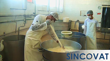 Como é feito o queijo mussarela de búfala?