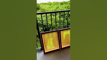 2 color screen printed poster using the New York Times #shorts #screenprinting