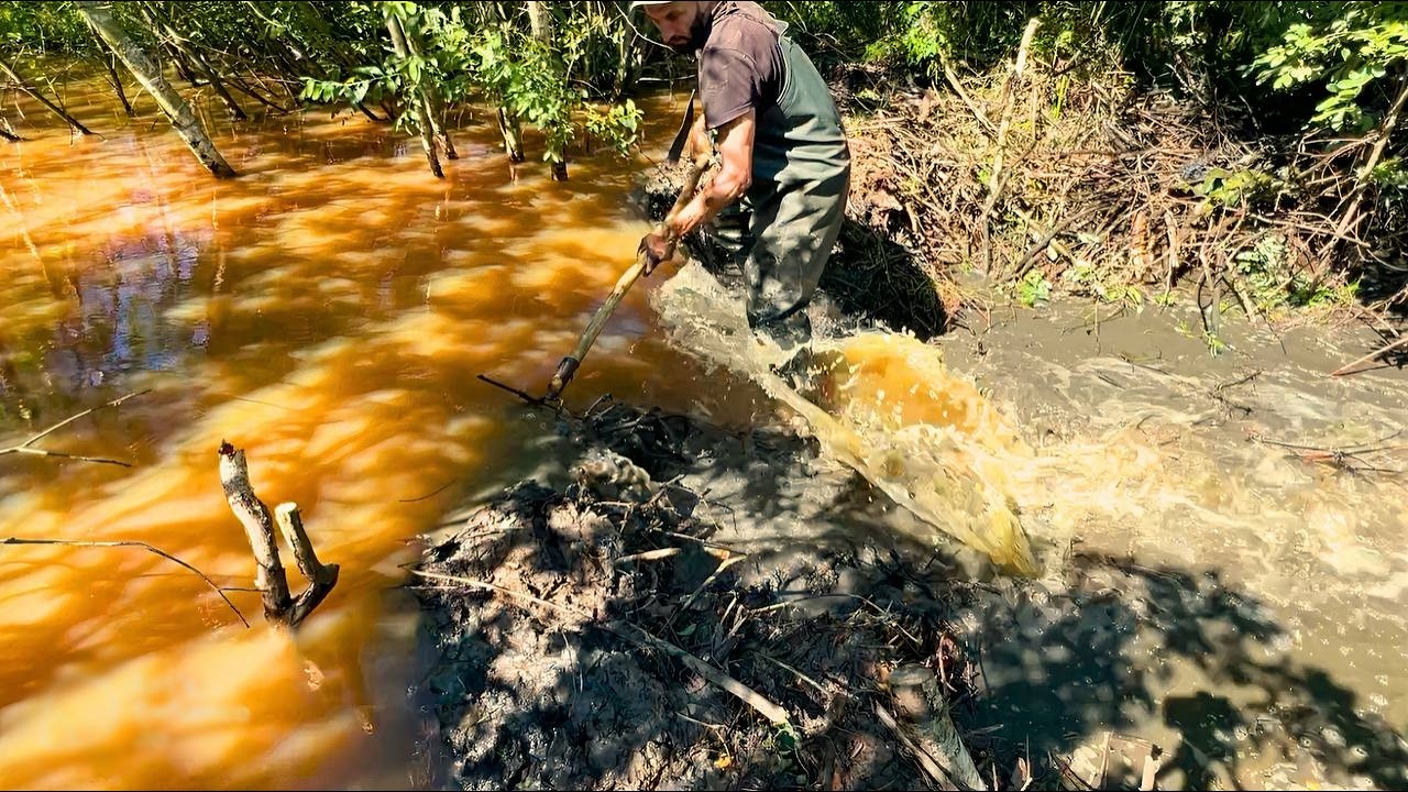 Double Trouble – Two Beaver Dams Side by Side!