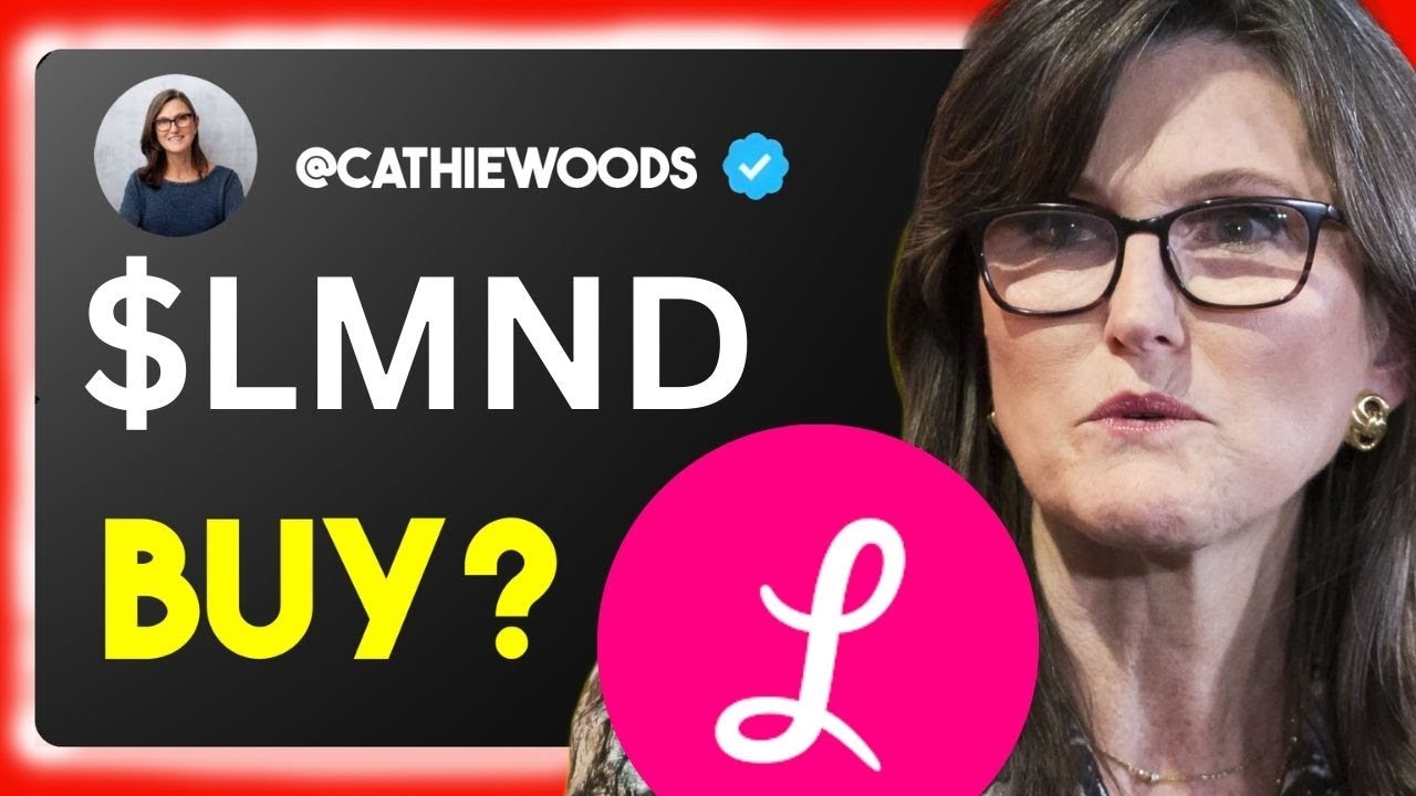 LMND Stock MONDAY CRAZY UPDATE! (buy now or what?) LMND