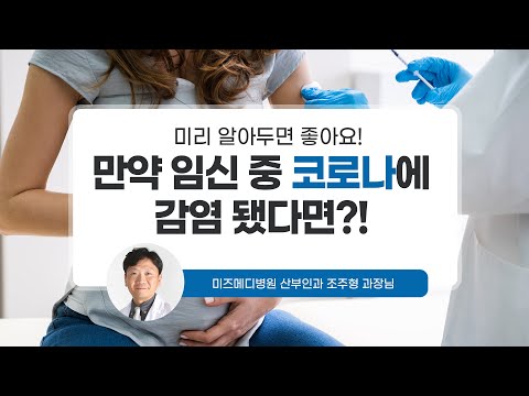 [맘스홀릭베이비] 만약 임신 중 코로나에 감염 됐다면?!? (w. 미즈메디병원 산부인과 전문의 조주형과장님)