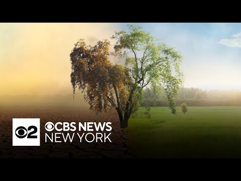 How climate change is impacting the health of humans