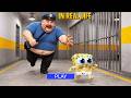 Baby Spongebob Plays Hide and Seek In REAL LIFE - BARRY PRISON RUN Roblox Update All Morphs Gameplay