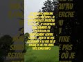 vivre libre et invalide : c'est compatible ? #hebergement #genève  #service #vivrelibre #mariage