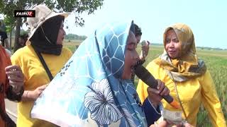 ANDI PUTRA 3 PENGEN ANU VOC AAS DS GANDASARI KEC CIKAUM