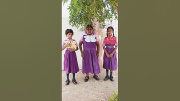 Three butterflies#4thclass#English lesson