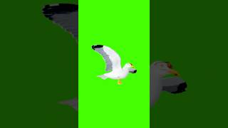Download Lagu Seagull dance meme remix Green Screen MP3 Download Lagu Seagull dance meme remix Green Screen MP3