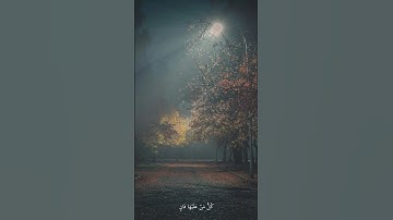 ✨ "كل من عليها فان ويبقى وجه ربك من سورة الرحمن
