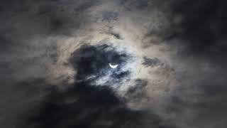 Moonlight Shadow (Mike Oldfield) - vocals by computer