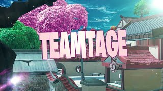 Teamtage Team Aspect