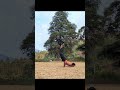 Try this move 💪💥 #shorts #shortsfeed #fitness #fitnessmotivation #challenge #viral #calisthenics