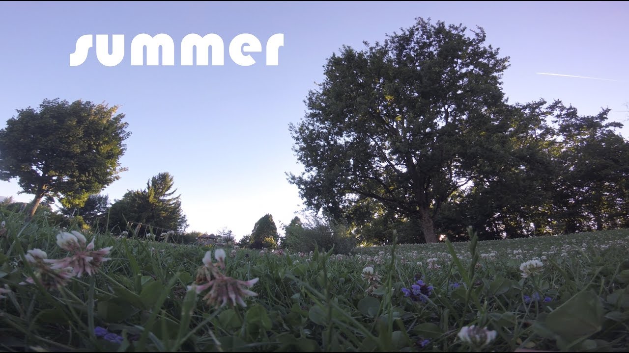 fpv monitor summer