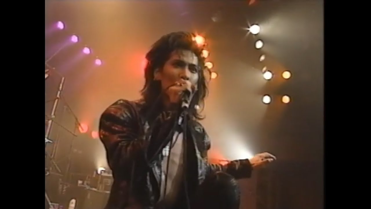 Der Zibet - ANIMAL Live - YouTube