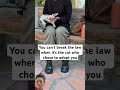 Skinship #greenscreen #cat #pets #funny #funny #funnyvideo #cute #cat #shortvideo