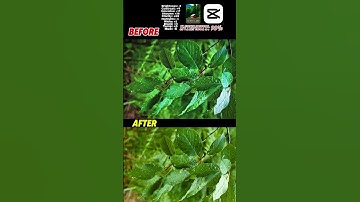 Capcut colour grading tutorial filter 🌿🌱🌷 #capcutedit #capcut #colorgrading #colorgrade #shorts