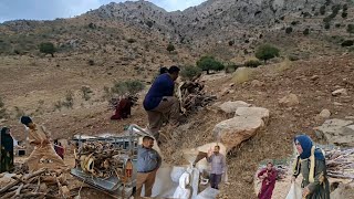 Collecting Firewood in the Mountains | The Hard Life of Nomadic People
