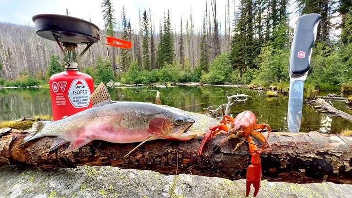 GIANT Trout Fishing in TINY MOUNTAIN LAKE!!! (Catch & Cook) 