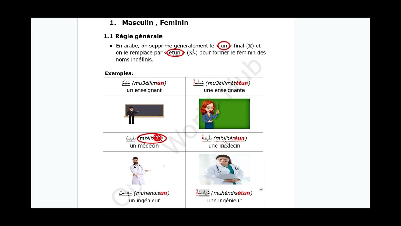 4.1.  Masculin , Féminin