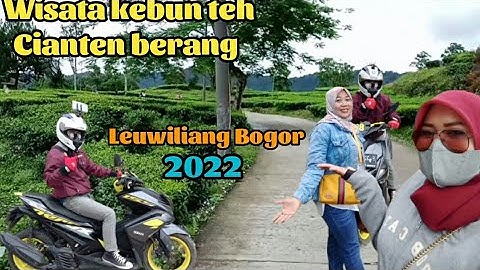 PART 2 || AKSES JALAN MENUJU TEMPAT WISATA KEBUN TEH CIANTEN HERANG LEUWILIANG BOGOR | MOTOVLOG