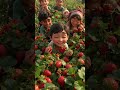 #littlegirl #stawberry #moralstory #urdustory #urdukids #positivevibes #positivemoral
