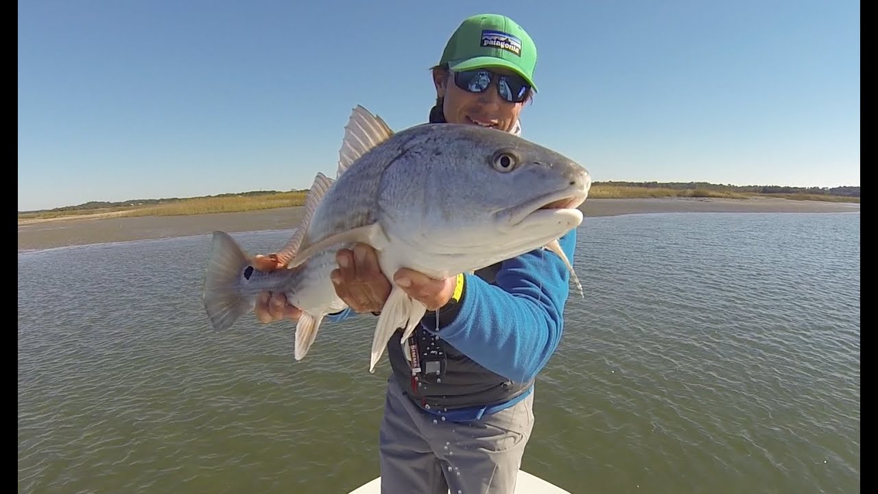 Fall Fly Fishing Hilton Head Island YouTube