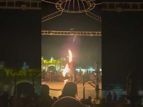 DUBAİ DESERT SAFARİ SHOW 2#dubai #travel #abudhabi #dubaidesertclassic #dubailife #desertsafaridubai
