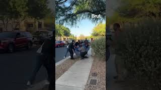 Cop falls on bear during rescue.