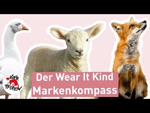 The Wear It Kind Brand Compass | FOUR PAWS